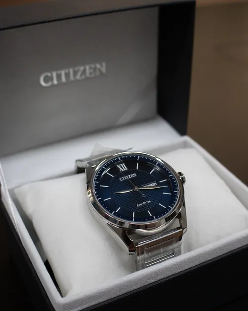Citizen Classic